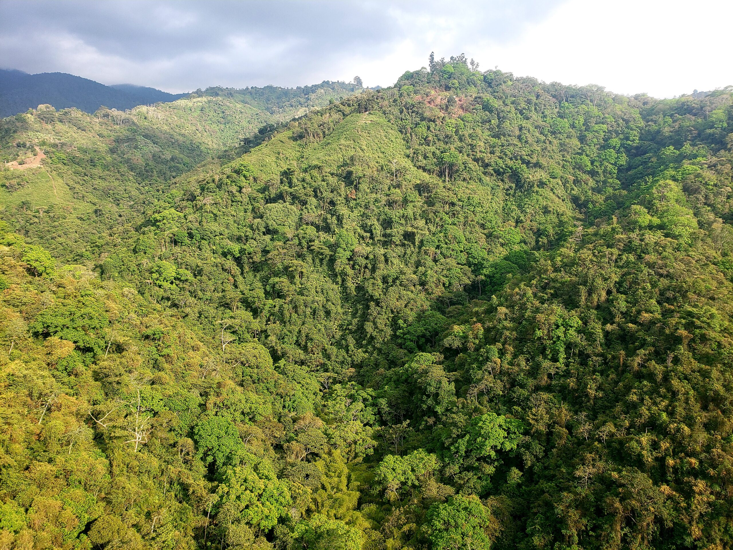 Andes mountains surrounding Ecoparque Cerro del Santismo