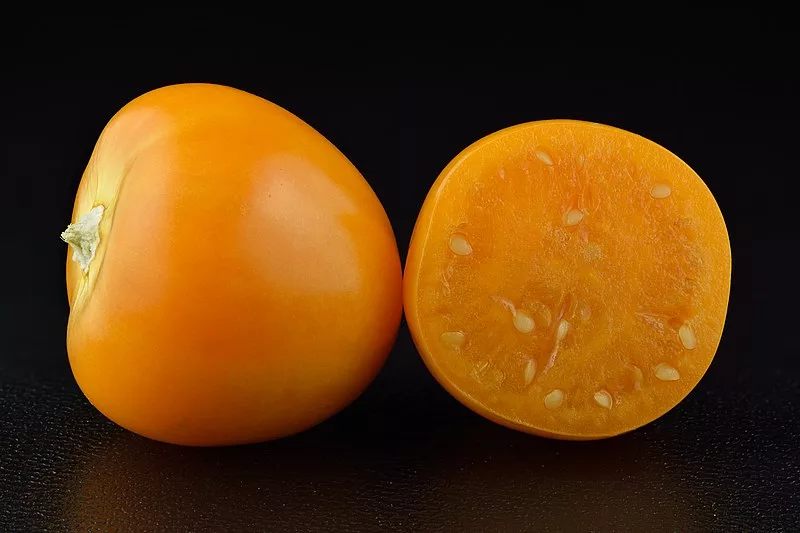 Uchuva - Peruvian groundcherry Image of Uchuva (Peruvian groundcherry).