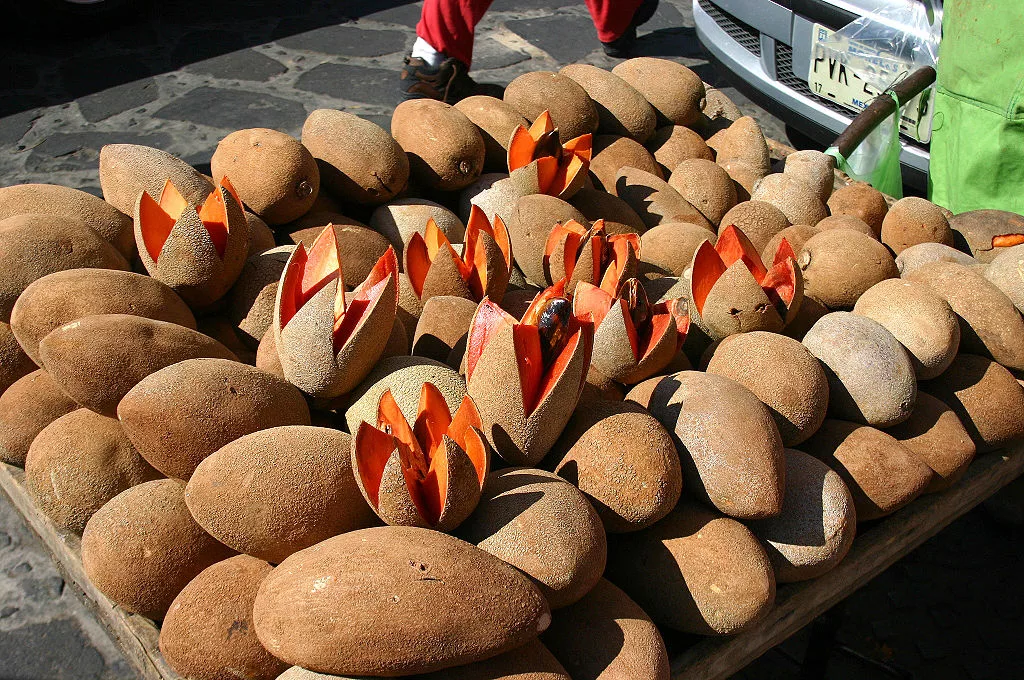 Image of Zapote - Sapote fruit.
