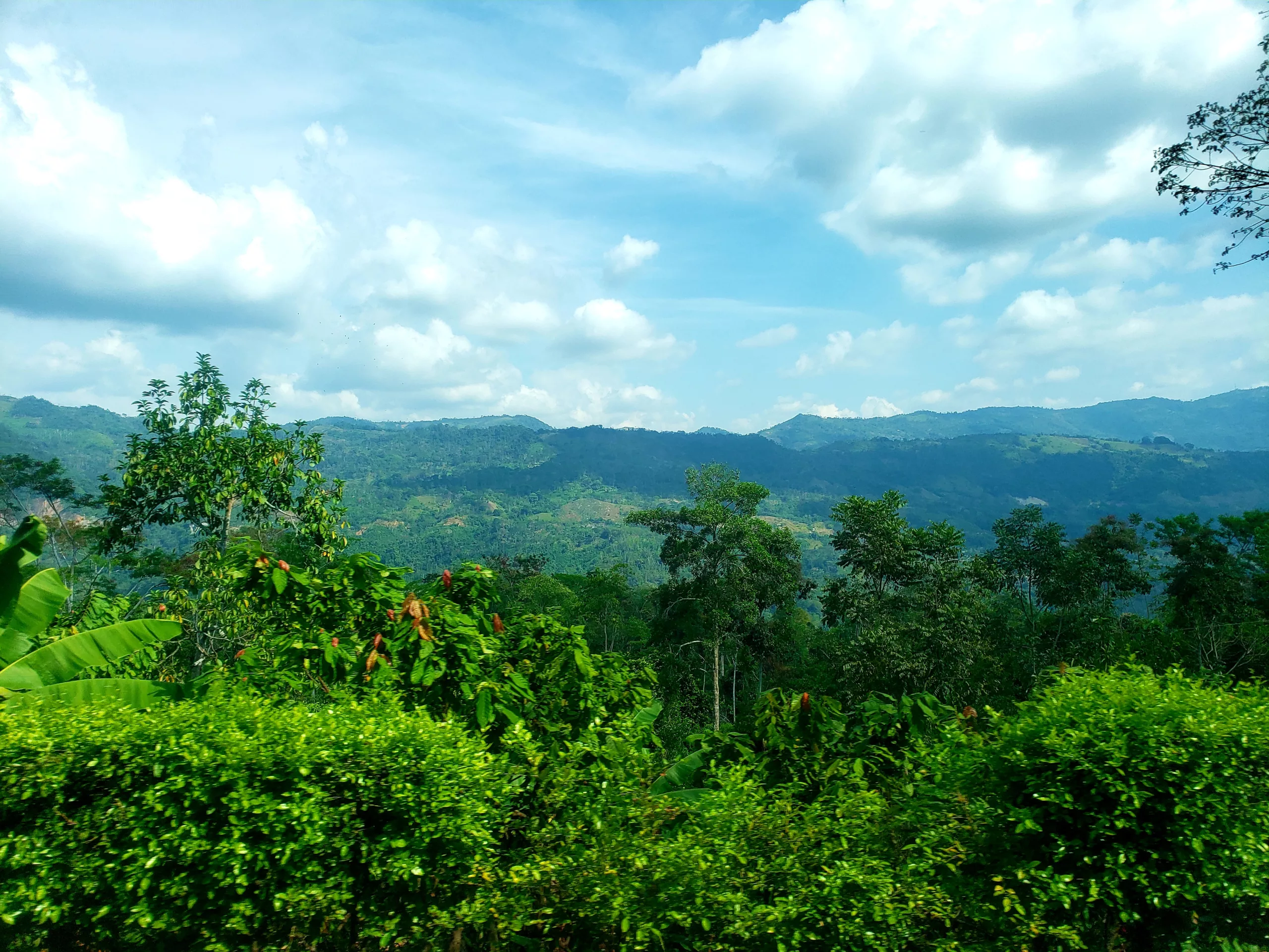 Landscape surrounding Medellin, Colombia Landscape surrounding Medellin, Colombia