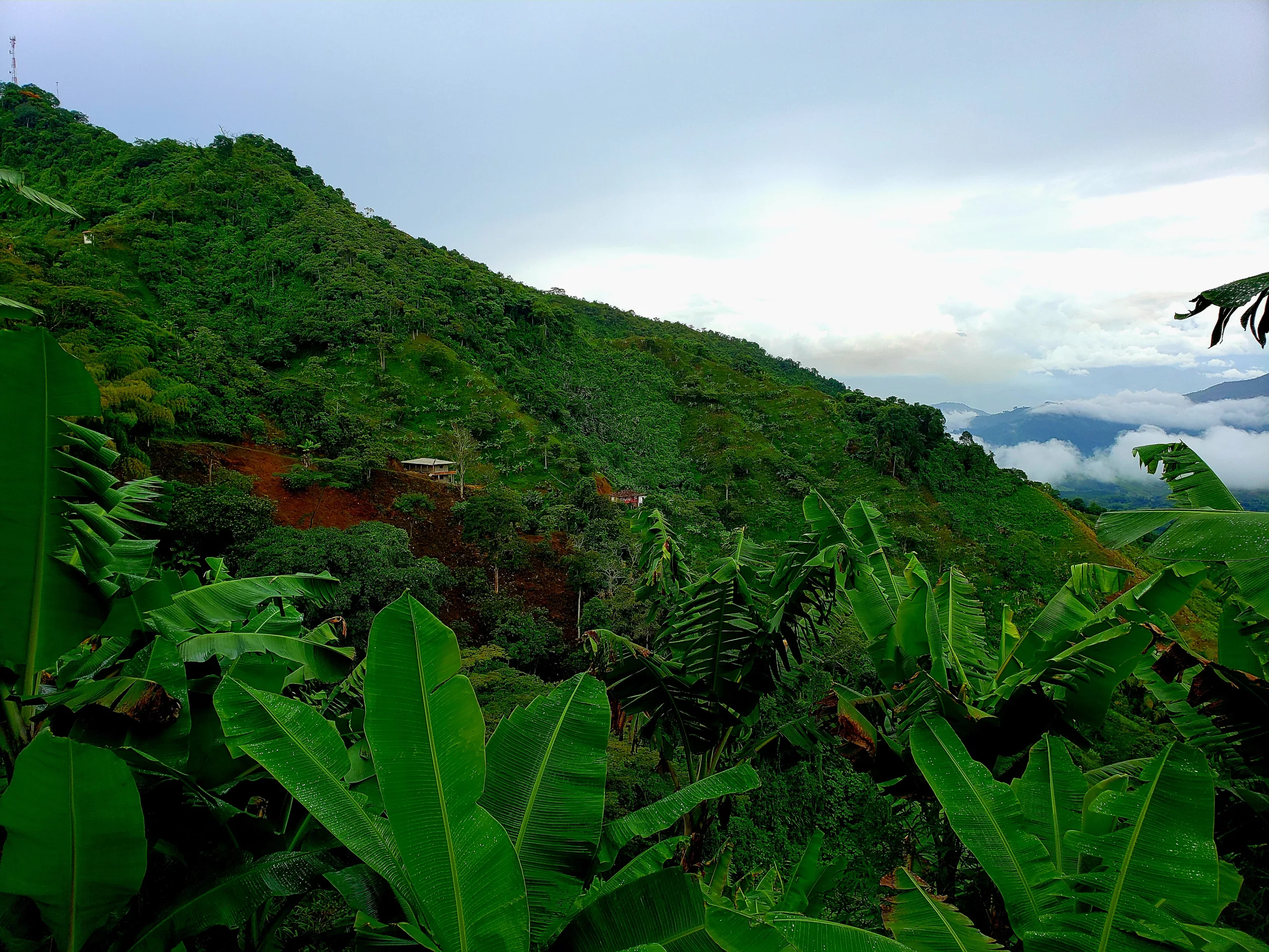 Landscape surrounding Marsella, Colombia. Landscape surrounding Marsella, Colombia.