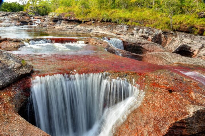 Caño Cristales where its waters and vegetation present us with a palette of colors.
