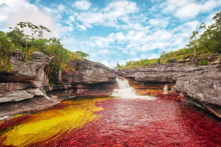 Water that appears to be tinged red a result of the abundance of the Macarenia clavigera plant in Caño Cristales