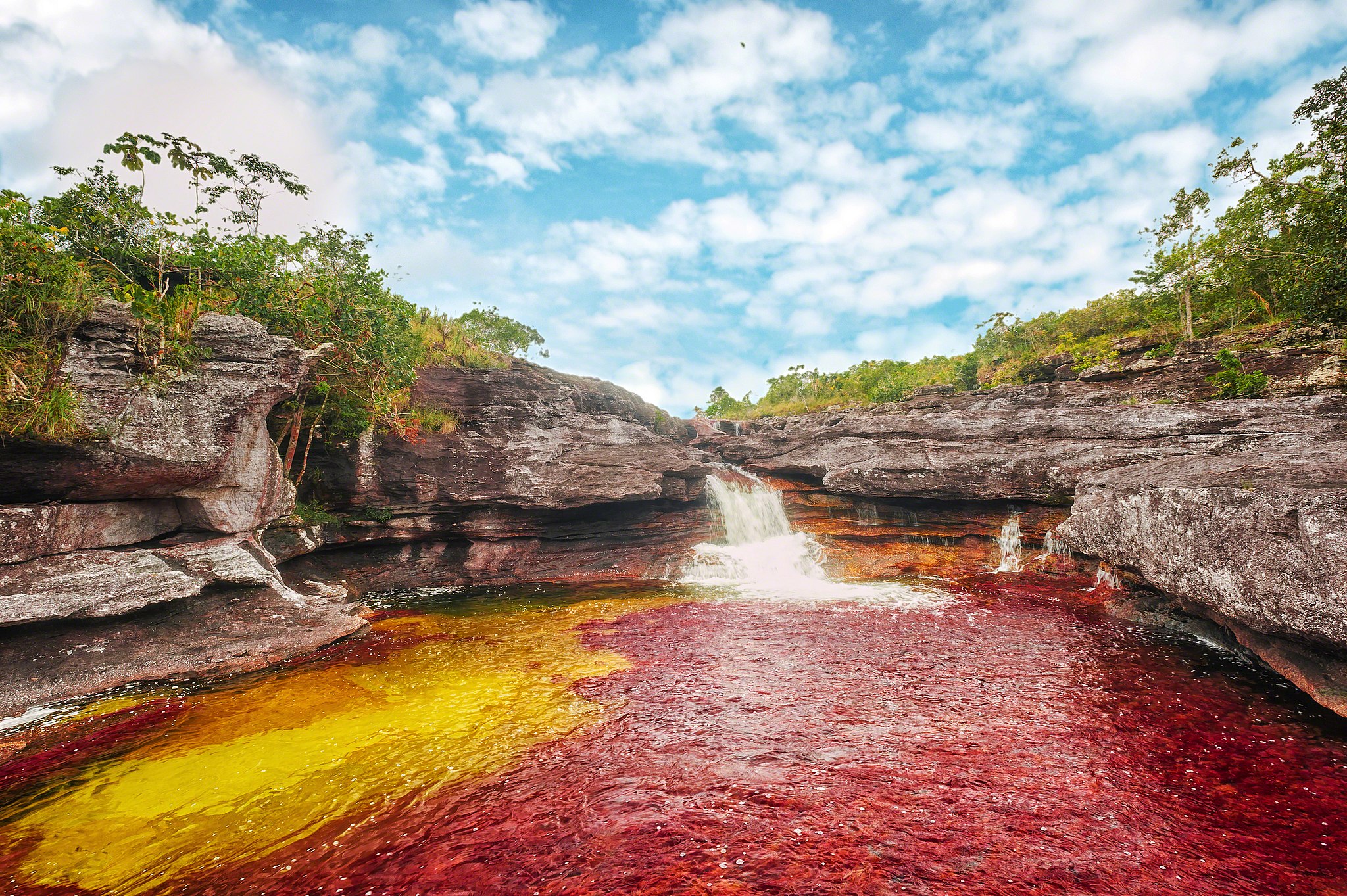 Water that appears to be tinged red a result of the abundance of the Macarenia clavigera plant in Caño Cristales
